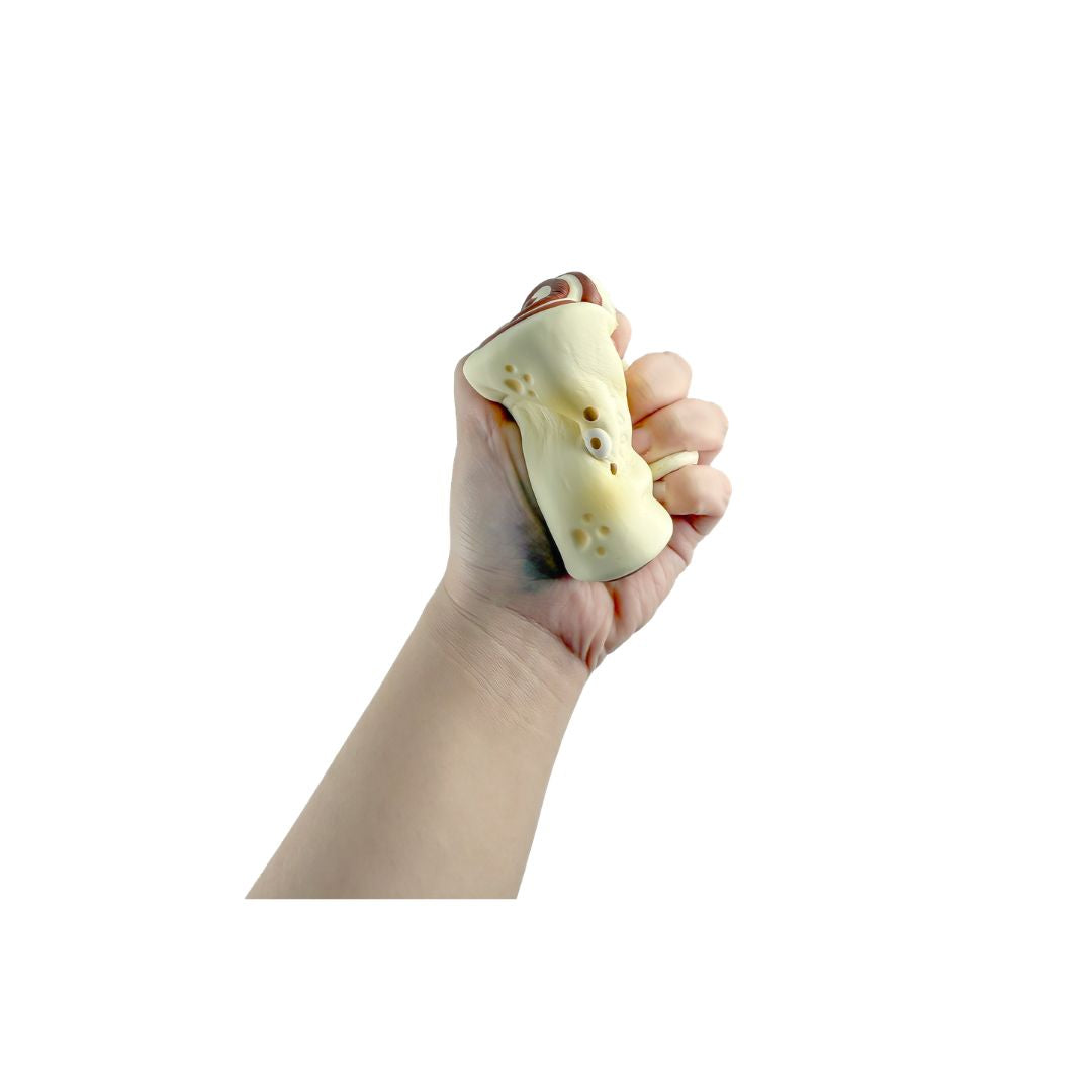 Hand squeezing a soft Donkey Rolls squishy toy to show its flexibility against a white background.