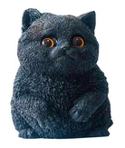A black squishy cat figurine with textured fur and large orange-rimmed eyes, photographed against a plain white background.