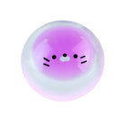 Purple cat inside clear squeeze ball